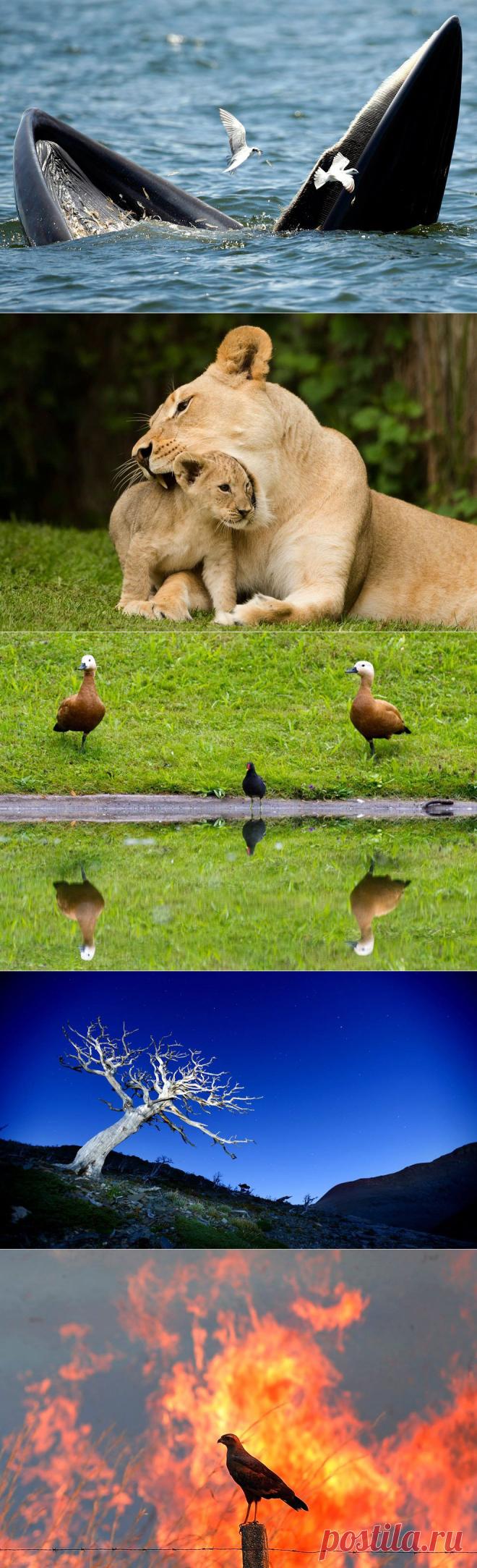 Мир глазами фотографов