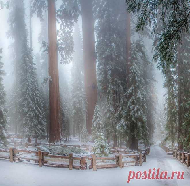 Фото Без названия. Альбом ПРИРОДА - 833 фото. Фотографии Наталья Литвинова.