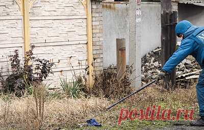 В Андреевке ДНР мужчина погиб, подорвавшись на мине "Лепесток". Всего с начала эскалации в республике зарегистрировали 96 инцидентов с этим типом мин