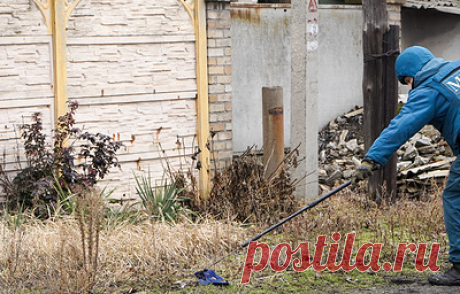 В Андреевке ДНР мужчина погиб, подорвавшись на мине &quot;Лепесток&quot;. Всего с начала эскалации в республике зарегистрировали 96 инцидентов с этим типом мин