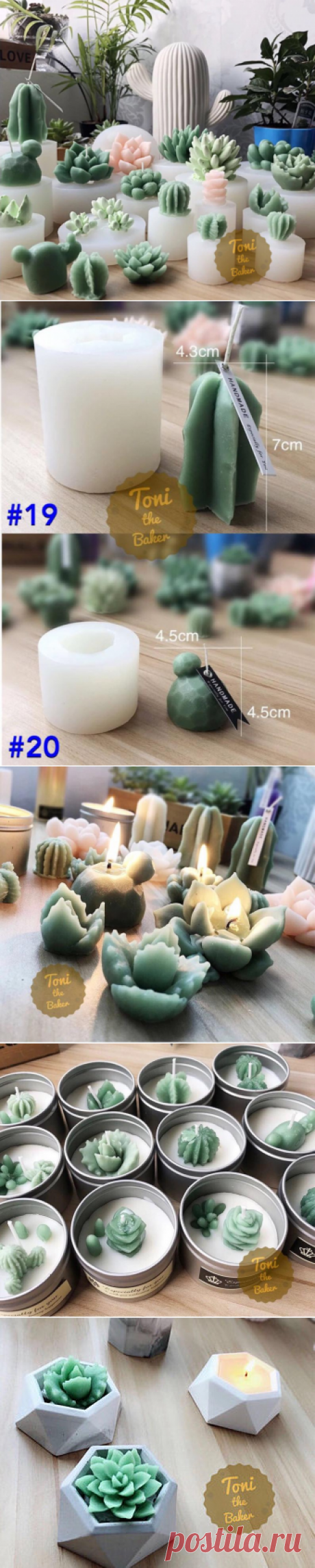 3D Succulent Mold Plant Silicone Fondant Mold 3D Succulent | Etsy