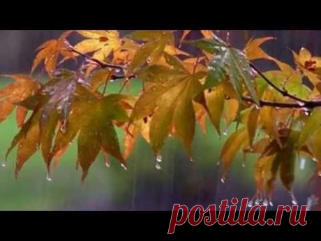А зима будет большая. (Варвара Визбор) - YouTube