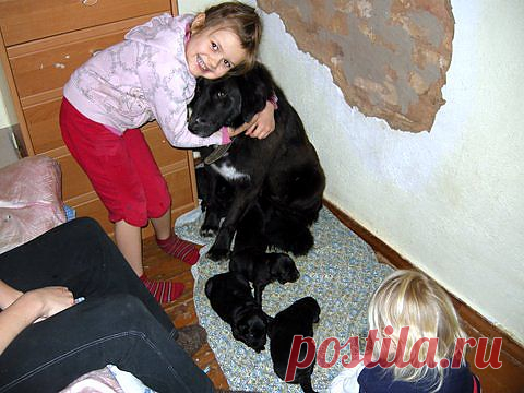 Наша милая Дюймовочка со своими  детками.