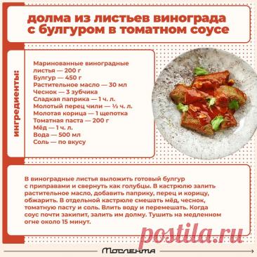 Долма из листьев винограда с булгуром в томатном соусе