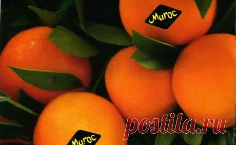 Наклейки на фруктах и овощах: о чем вы не знали