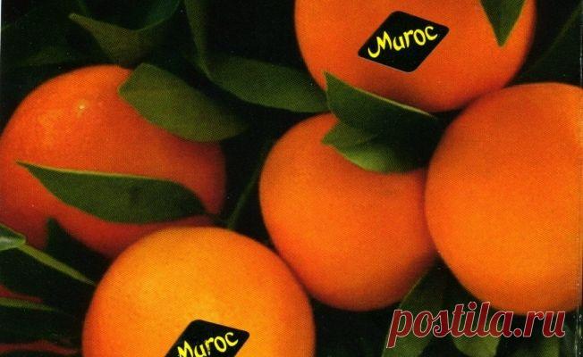 Наклейки на фруктах и овощах: о чем вы не знали