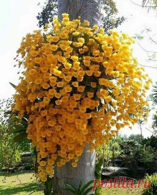 Pour Le Plaisir Des Yeux