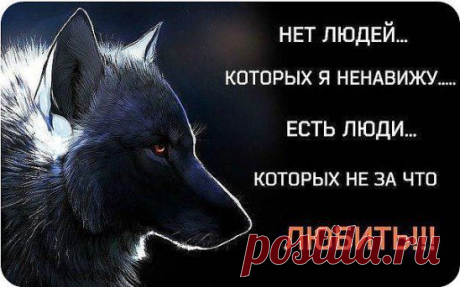 (13) Одноклассники