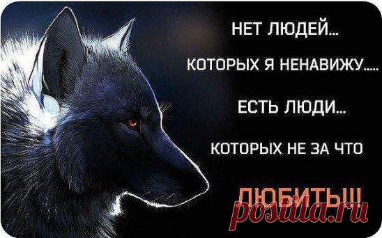 (13) Одноклассники
