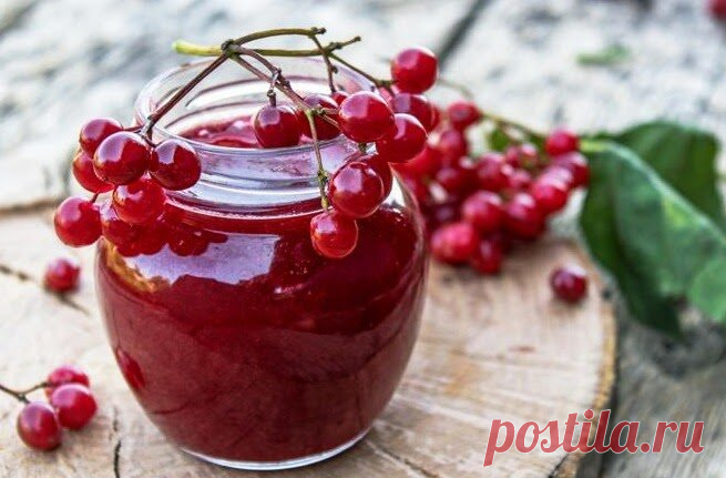 Мой калиновый сироп на зиму: густой и витаминный, как свежая калина и еще лучше. И 4 маленьких калиновых секрета алого цвета | В саду у Валентинки | Яндекс Дзен
