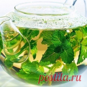 8 самых полезных для здоровья напитков - МирТесен