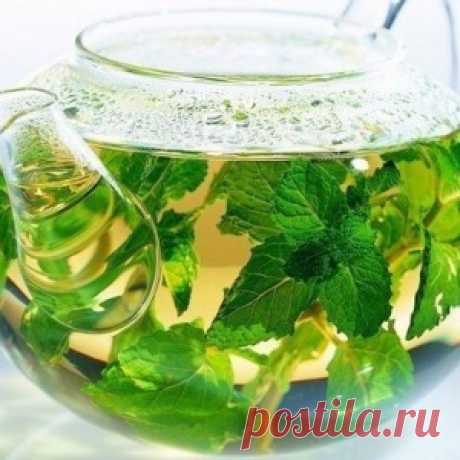 8 самых полезных для здоровья напитков - МирТесен