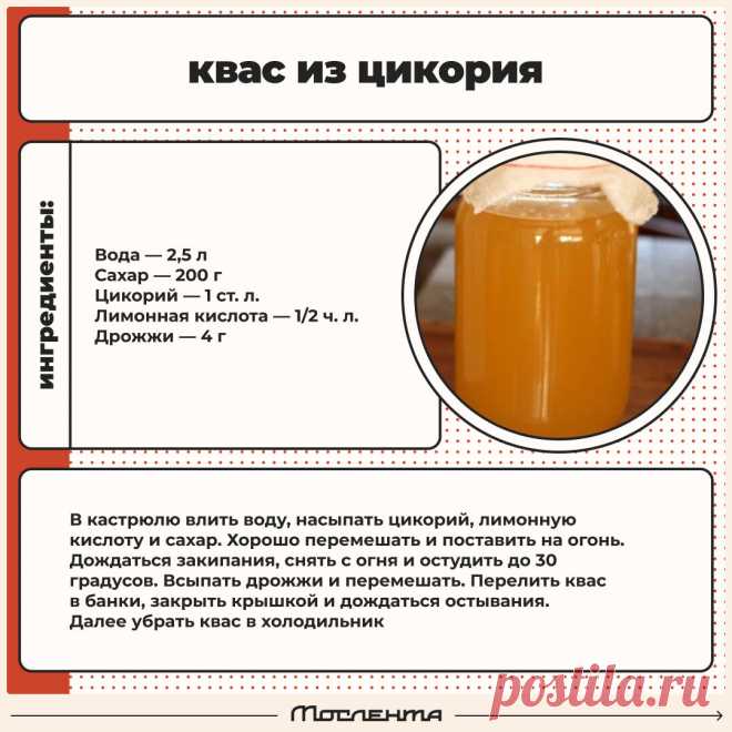 Квас из цикория