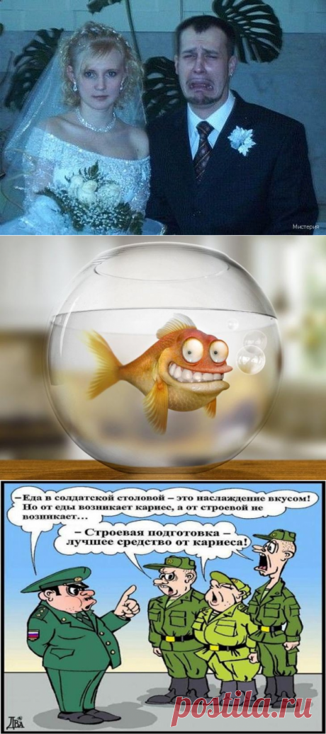 Десять смешных историй