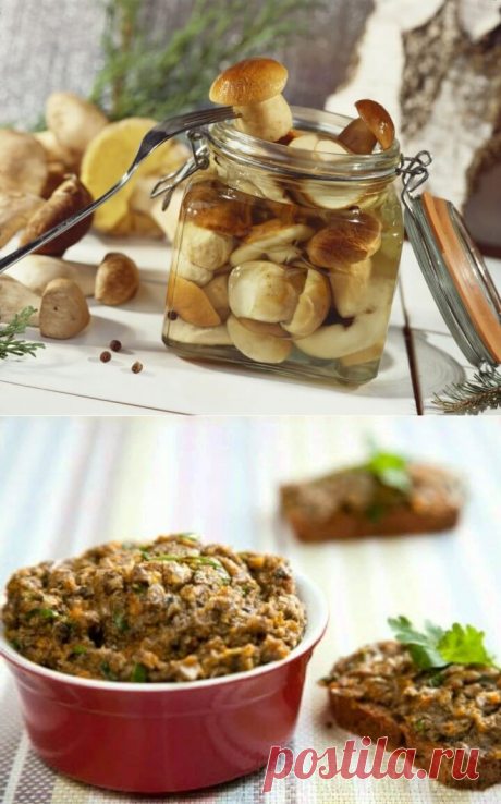 Засолка грибов: 8 способов — Вкусные рецепты
