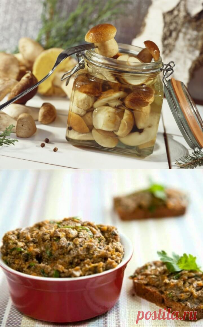 Засолка грибов: 8 способов — Вкусные рецепты