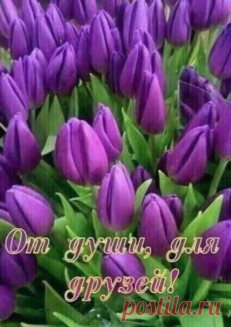 (1) Группы | Facebook