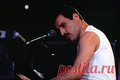 В черновиках Меркьюри обнаружили первоначальное название песни Bohemian Rhapsody. Песня британской рок-группы Queen Bohemian Rhapsody первоначально называлась Mongolian rhapsody. Отмечается, что перечеркнутый и исправленный вариант названия можно увидеть в черновиках лидера музыкального коллектива Фредди Меркьюри, которые были выставлены на торги аукционным домом Sotheby's.