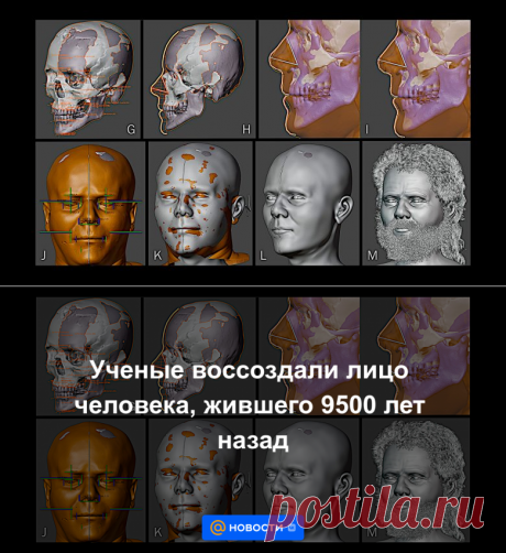 Ученые воссоздали лицо человека, жившего 9500 лет назад | 3 февраля 2023 - Новости Mail.ru