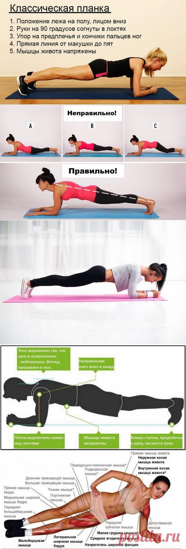 Упражнение планка, фото, рекомендации, как делать упражнение планка правильно
