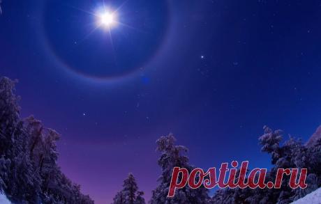 Рака поддержат друзья, а Львы захотят романтики: общий гороскоп на февраль 2020 года