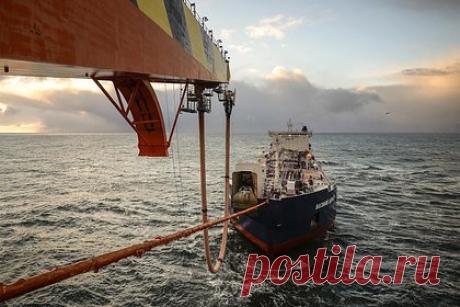 Морской экспорт нефти из России вырос на фоне объявленного снижения добычи. Морской экспорт нефти из России вырос шестую неделю подряд. Отгрузки увеличились на 1,2 миллиона баррелей в сутки по сравнению с концом 2022 года. Рост произошел на фоне обещаний России сократить добычу нефти на 500 тысяч баррелей в марте 2023 года, чтобы «восстановить рыночные отношения».