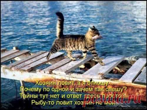 Отдыхаю хорошо