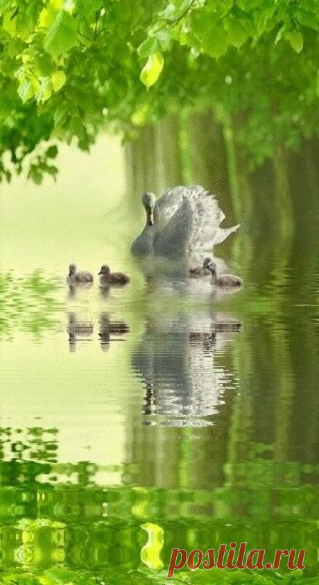 хх
