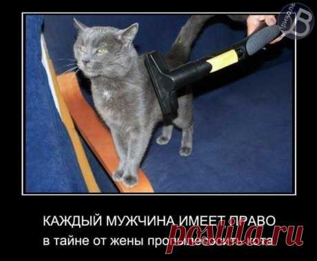 Sanek Zabolotin