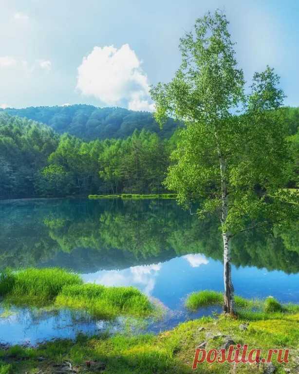 Красота природы!