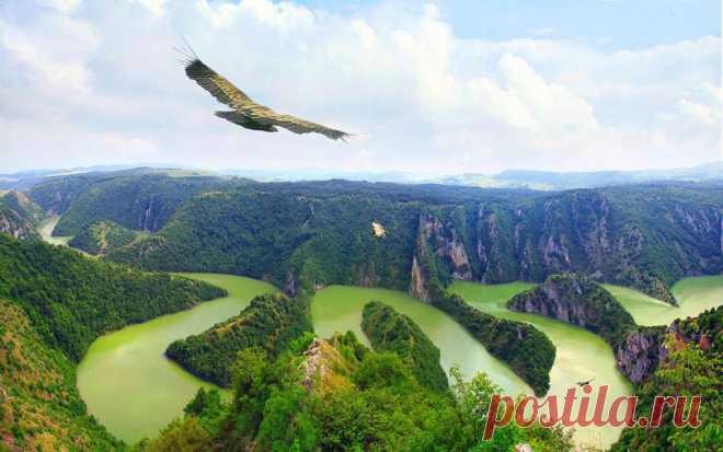 Uvac Canyon - Сербия