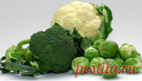 ПОХУДЕЙКИНЫ РЕЦЕПТЫ. Полезные салаты из капусты