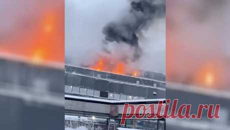 В Мурманской области загорелся заводской цех. В Мурманской области загорелось помещение цеха обогатительной фабрики. Об этом сообщает агентство &quot;СеверПост.RU&quot;. По информации агентства, инцидент произошел в городе Ковдор. Предварительно, на участке флотации завода загорелась ...