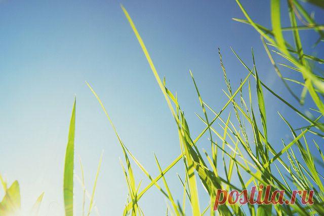 Тренировка контроля над импульсами. Под импульсами имеется в виду как наше сиюминутное желание выпустить пар или захомячить третий по счету пирожок, так и более серьезные минус-пристрастия (назовем их так) — прокрастинация, самопожертвование, пассивно-агрессивное поведение, глупая гордость и прочие прегрешения.