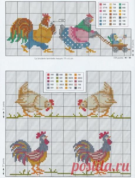 (637) poules | Bicho Fazenda