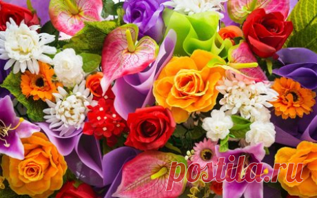 Блог diskobol 