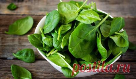 Интересные новости     ПОЧЕМУ НУЖНО ЕСТЬ ШПИНАТ