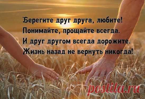 Берегите друг друга, 
Добротой согревайте. 
Берегите друг друга, 
Обижать не давайте.