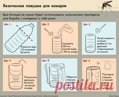 Учимся жить, не ускоряя процесс старения