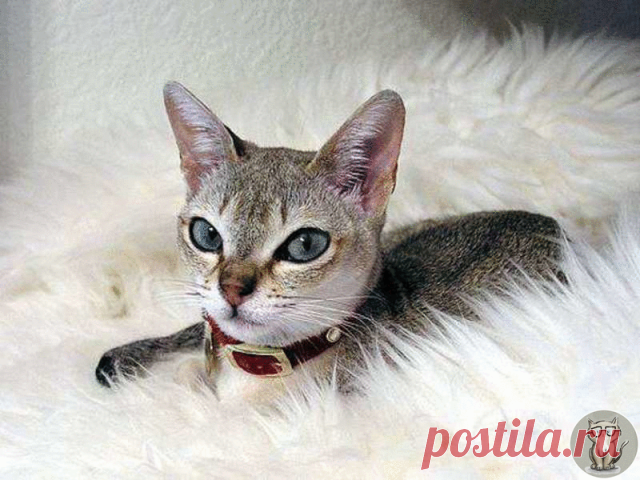 Комментарии к теме