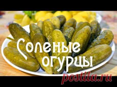 Соленые огурцы - засолка огурцов на зиму в банках, рецепт без уксуса