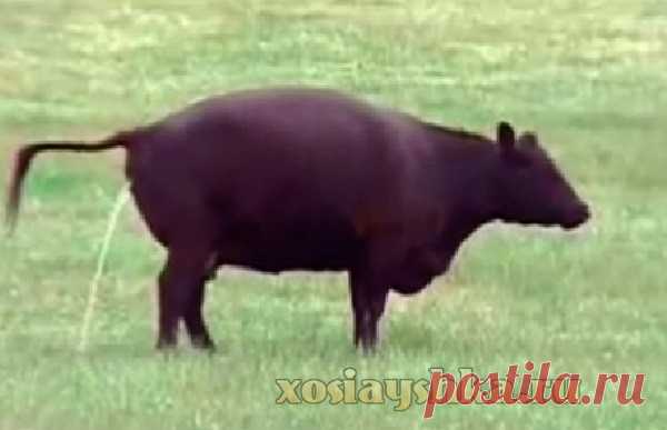 Бросить курить? — Сударушка успешная и современная