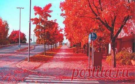 Красная осень в Стокгольме