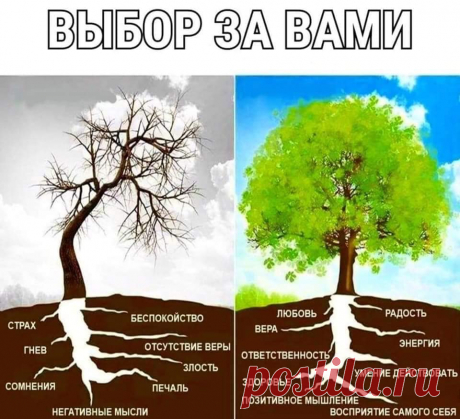 (8) Facebook