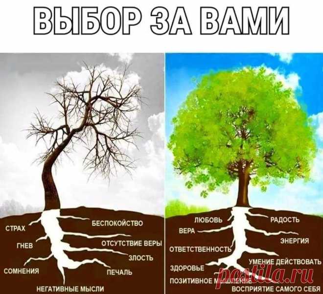 (8) Facebook