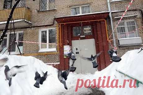 В российском городе козырек подъезда рухнул и заблокировал жильцам выход из дома. В Челябинске козырек подъезда жилого дома обрушился и заблокировал жильцам выход из здания. О случившемся в российском городе сообщила поисково-спасательная служба Челябинской области в Telegram. По информации пресс-службы, инцидент произошел ночью во вторник, 20 февраля, в пятиэтажном доме на улице Комаровского.