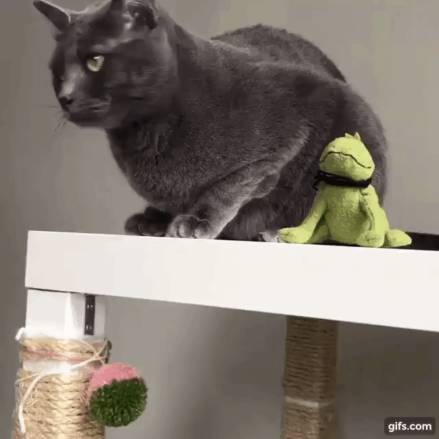 - А ты чё тут расселась?!