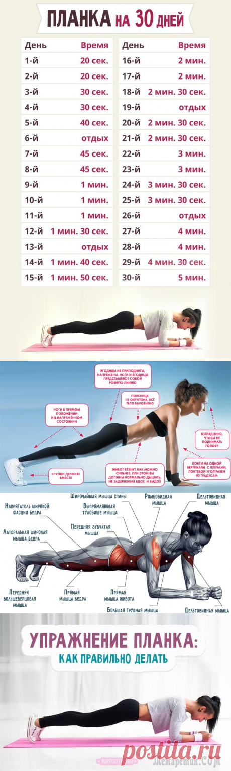 Делаем планку правильно: лучшие варианты для похудения и здоровья