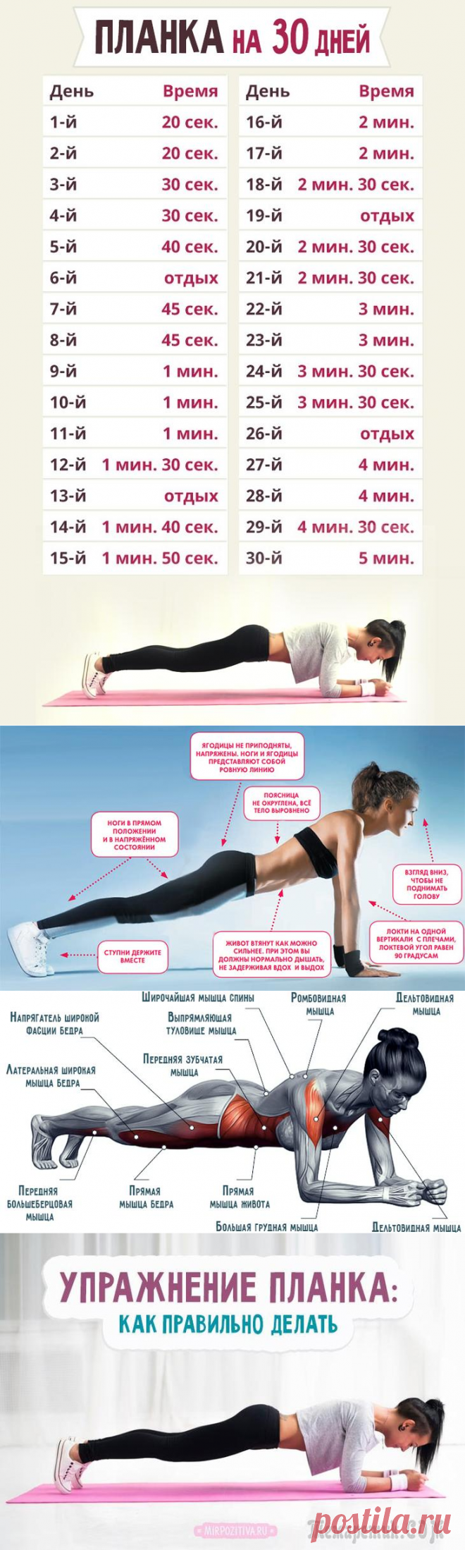 Делаем планку правильно: лучшие варианты для похудения и здоровья