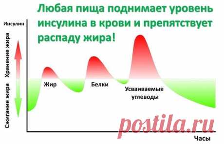 Инсулиновый индекс продуктов питания: полная таблица высоких и низких значений